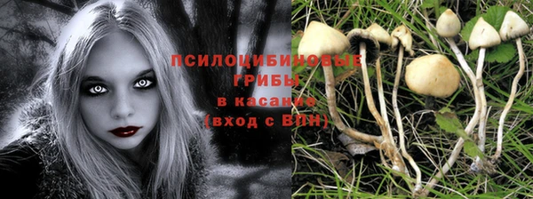 mdpv Вязники