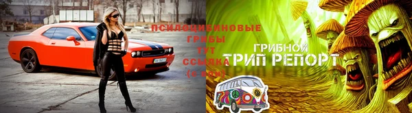 винт Вязьма